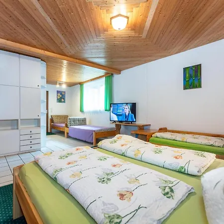 Tatil Evi In Neukirchen Near Wildkogel, Cleaning Included Neukirchen am Großvenediger